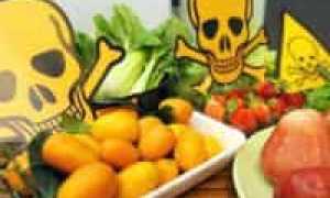 Какие продукты замедляют обмен веществ