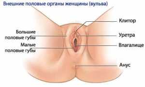 Почему болят половые губы? Разбор причин