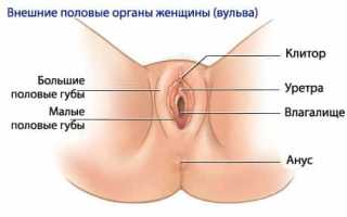 Почему болят половые губы? Разбор причин