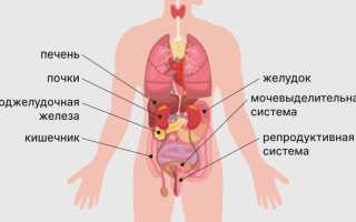 Причины и лечение болей внизу живота у мужчин и женщин