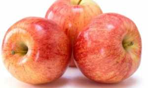 15 лучших продуктов для очищения организма