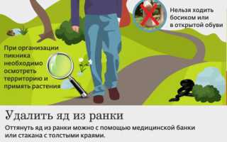 Укусы змей и насекомых: как оказать первую помощь!
