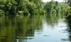Полезные эффекты от пребывания рядом с водой
