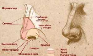 Боль в носу — причины