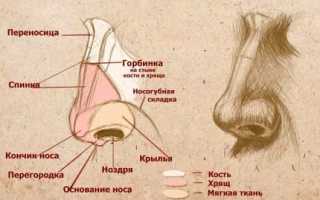 Боль в носу — причины