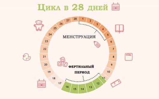 отслеживание месячных
