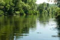 Как пребывание рядом с водой изменяет состояние мозга