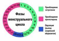 про гормоны