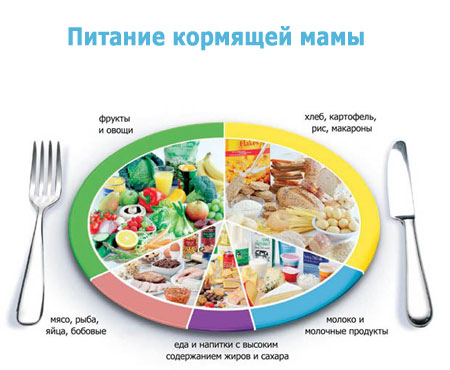 питание матери