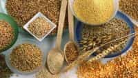цельнозерновые продукты