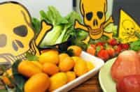 продукты, замедляющие метаболизм
