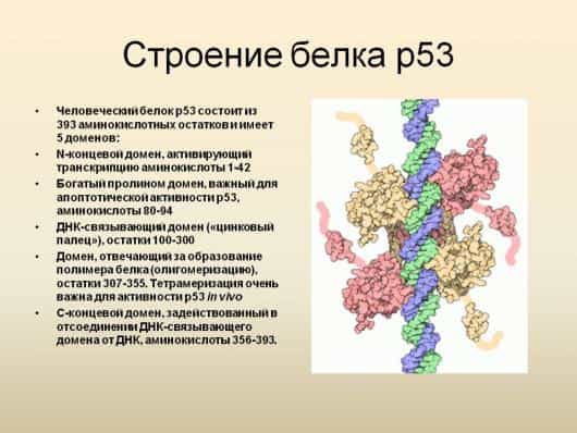 сложные молекулярные взаимодействия
