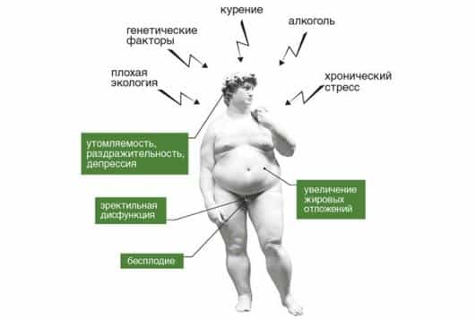 К чему приводит низкий тестостерон