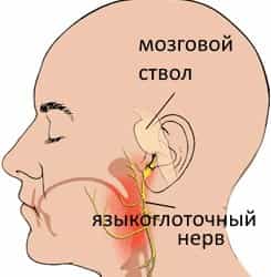 языкоглоточный нерв